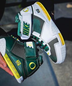 Go Ducks ...